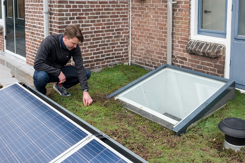 Op een groen dak zit een persoon gehurkt naast een aantal zonnepanelen. De persoon inspecteert de begroeiing op het groene dak. 